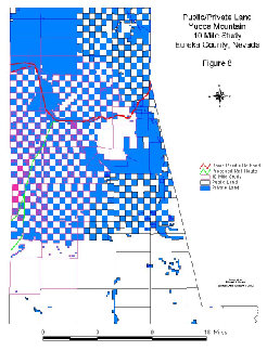 Public/private property in Eureka County. Click to enlarge