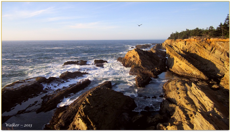 On the Pacific - northern CA