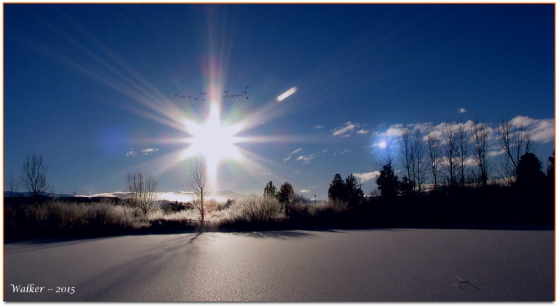 Sunrise Ice -- Minden, NV