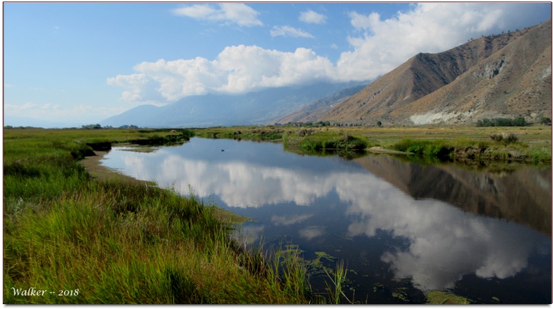 Carson River - West Fork