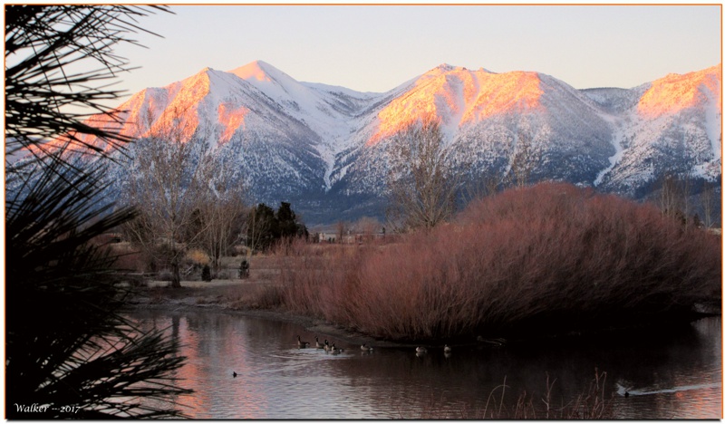 Wetlands, Minden Nevada